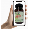 B-CURCUMIN (60 caps)
