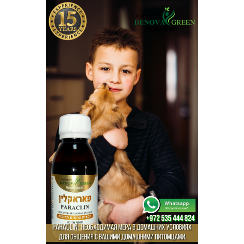 PARACLIN by DENOVA GREEN - Natural Antiparasitic and Detox Supplement for Liver, Blood, and Gut Health